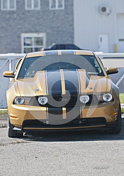 Mustang front end