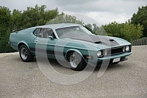 Mustang Mach1 photo