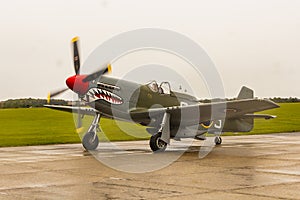 Mustang P51D `The Shark`