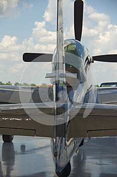 Mustang P51 at the hangar door.