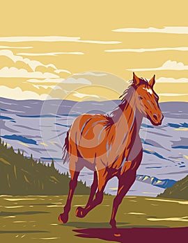 Mustang in Pryor Mountain Wild Horse Range in Carbon and Big Horn Counties of Montana WPA Poster Art