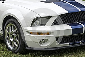 Mustang shelby front end