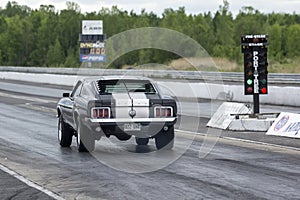 Mustang on the track