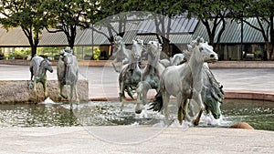 `The Mustangs of Las Colinas` by sculptor Robert Glen in Williams Plaza in the City of Irving, Texas.