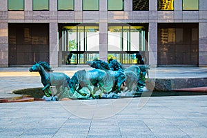 Mustangs at Las Colinas photo