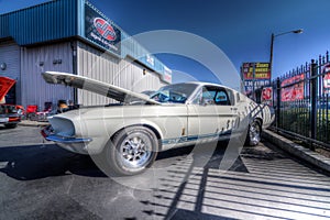Mustangs Plus stockton ca Car Show 2014