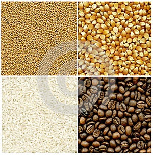 Mustard, coffee, rice and corn backgrounds