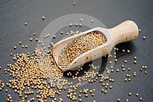 Mustard granum sinapis photo