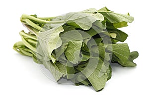 Mustard greens vegetable over white