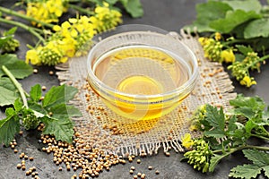 Mustard oil with seeds and fresh flowers and leaves on black rustic background