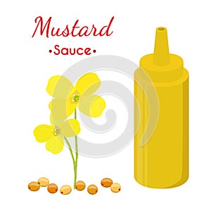 Mustard sauce bottle, yellow spicy condiment. Cartoon flat style. Vector