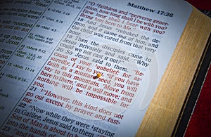 Mustard seed and open Bible