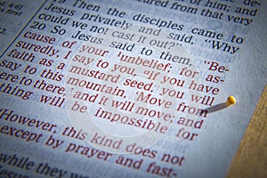 Mustard seed and open Bible photo