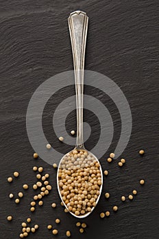 Mustard seed on a silver spoon