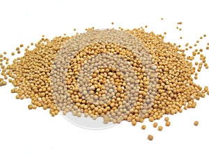 Mustard seeds