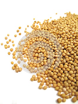 Mustard seeds
