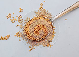 Mustard seeds in isolated white background. photo