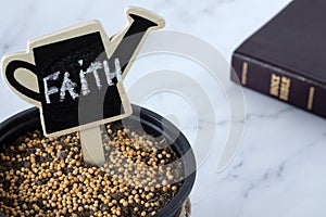 Mustard seeds in a pot with soil and handwritten word 