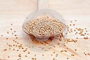 Mustard Seeds on wooden serving spoon photo