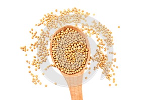 mustard seeds in wooden spoon isolated on white background. top view