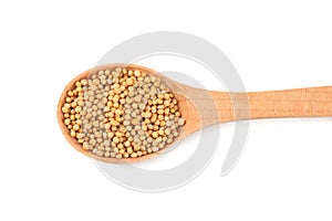 mustard seeds in wooden spoon isolated on white background. top view