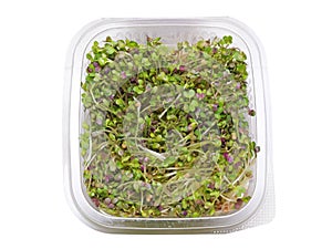 Mustard sprouts salad