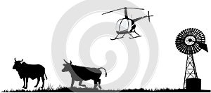 Mustering by helicopter in outback Australia