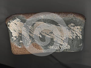 Mustiness bread