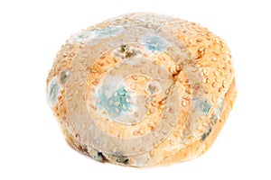 Musty hamburger