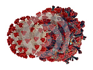 Mutation of Coronavirus Covid19. symbolic a mutated virus cell of the virus 3d-illustration photo