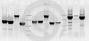 Mutation screening photo