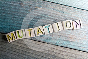 Mutation Written On Wooden Blocks On A Board photo