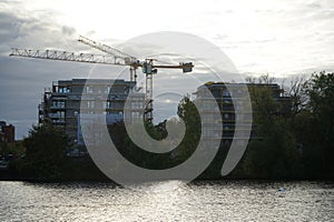 A mute swan flies over the Spree River in October. Berlin, Germany