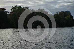 A mute swan flies over the Spree River in October. Berlin, Germany