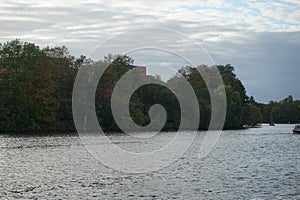 A mute swan flies over the Spree River in October. Berlin, Germany