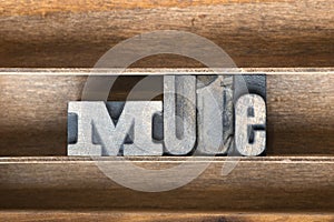 Mute wooden tray
