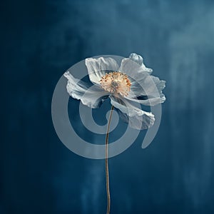 Muted Blue Flower: Dreamlike Imagery In Minimalist Composition