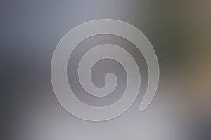 Abstract Smooth Grey Gradient Background