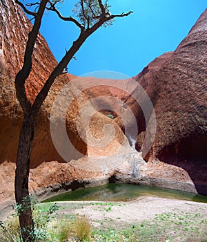 Mutitjulu Waterhole Uluru