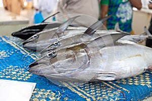 Mutrah Fish Market in Muscat, Oman - March 2023