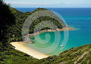 Cove in Abel Tasman National Park in New Zealand