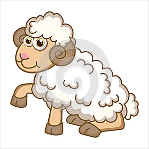 Mutton. Cute Young Sheep isolated on white background. Farm animal cartoon character. Education card for kids learning animals.
