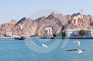 Muttrah Corniche, Muscat, Oman