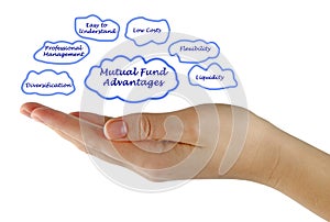 Mutual Fund Advantages photo