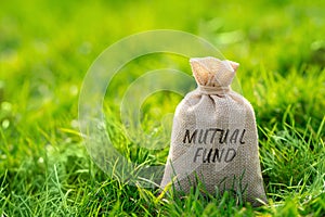 Mutual fund in a money bag. Portfolio of stocks, bonds, or other securities purchased photo