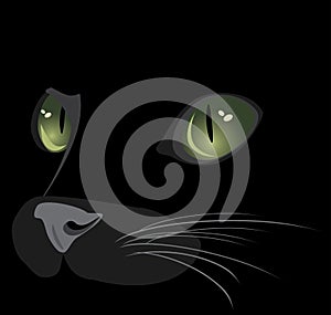 Muzzle of black cat photo