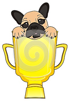 Muzzle of bulldog peek up from prize cup