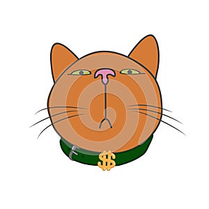 The muzzle of a cat that looks down. The dollar is on the collar