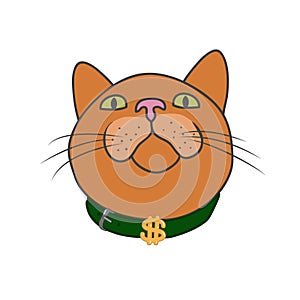 The muzzle of the cat that looks up. The dollar is on the collar