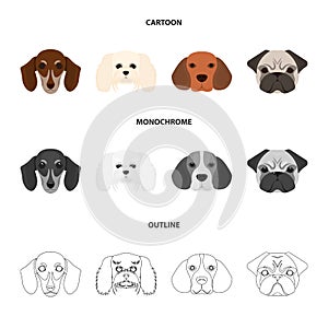 Muzzle of different breeds of dogs.Dog breed of dachshund, lapdog, beagle, pug set collection icons in cartoon,outline
